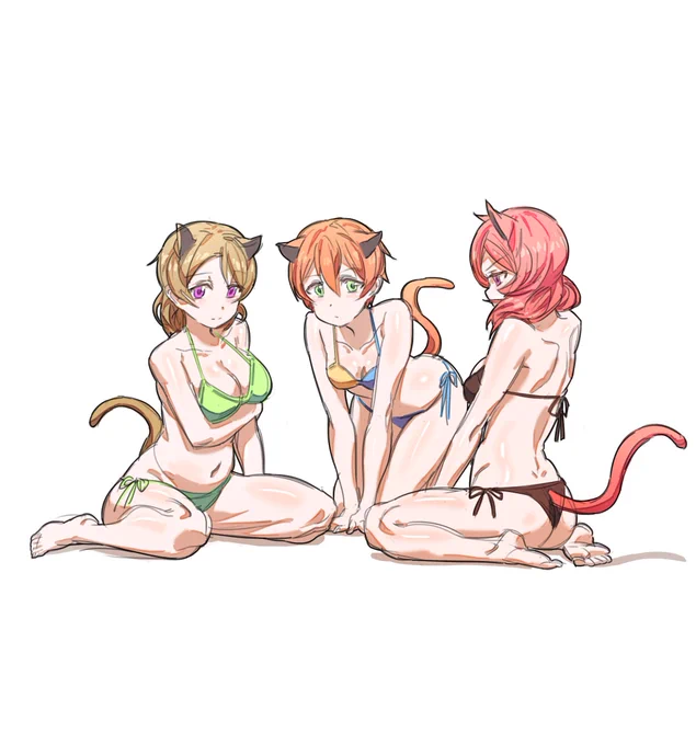 네코미미는 진리에요.. 