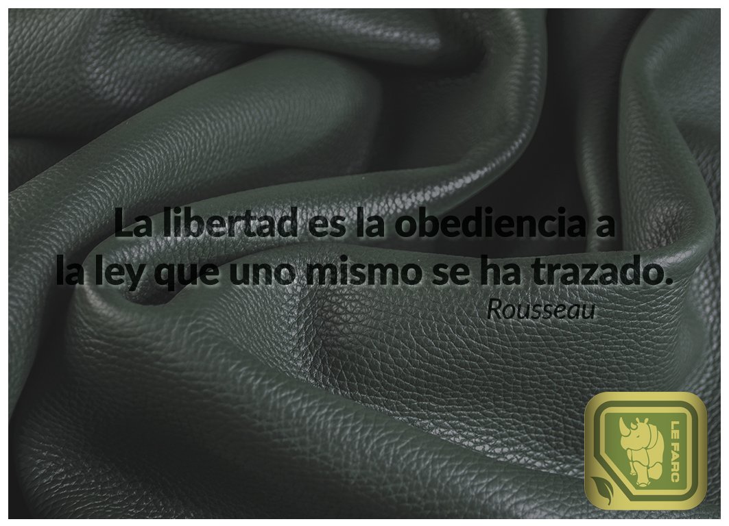 Lefarc Leon tweet media