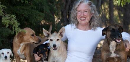 Santaverde UK tweet media