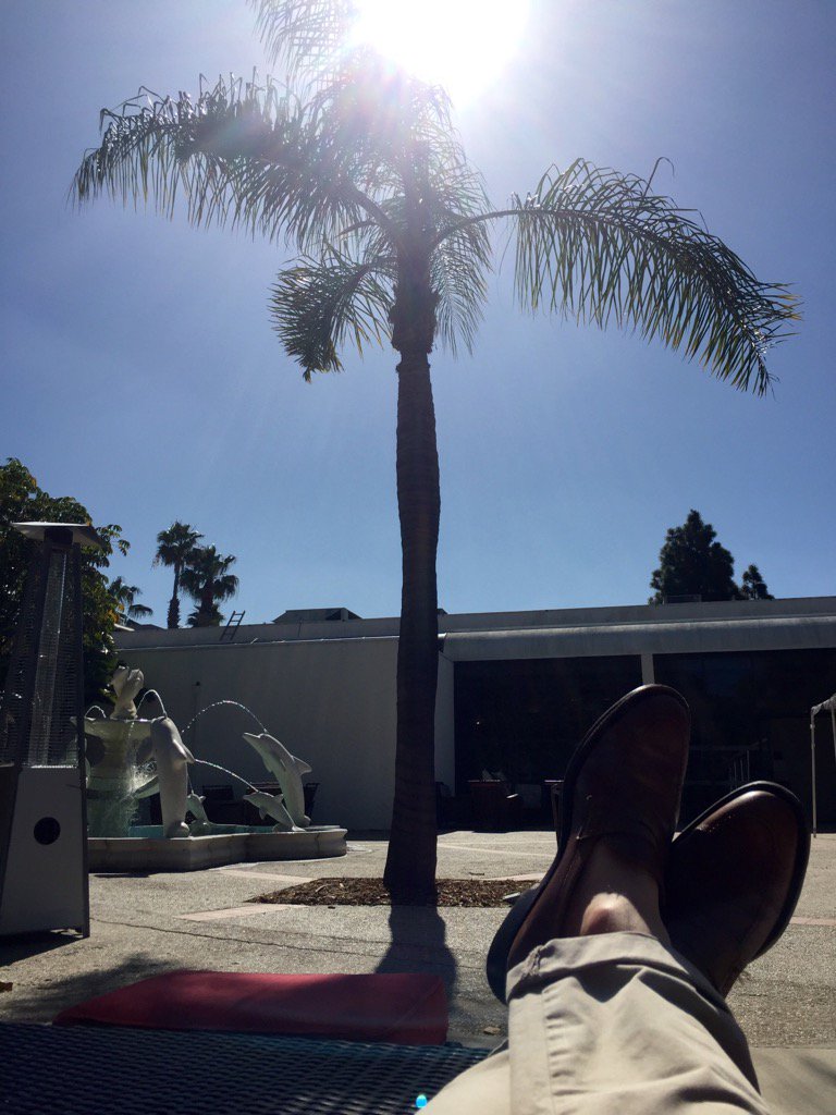 notSoJunkDNA's tweet photo. If your conference can provide this kind of coffee break in the middle of winter, please invite me! #NGSDAIC https://t.co/7w4zdbQZAz