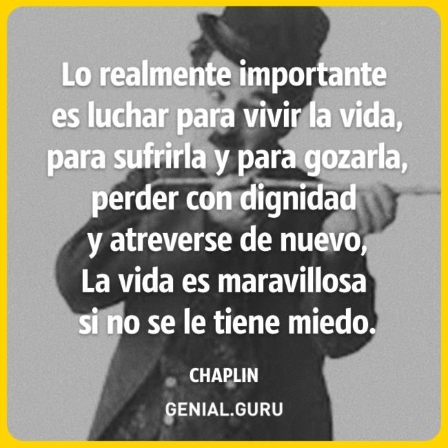 LasComanders's tweet image. Su pinche maye comaye