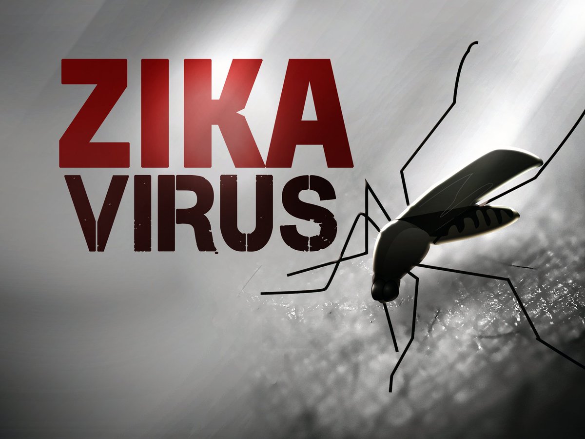 New #Zika case reported in Miami-Dade County, 14 cases now in S. Fla. bit.ly/1Ok5knp?utm_me… https://t.co/qXz5RzbXLL
