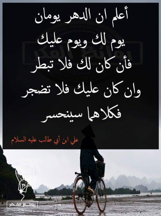 سوريا حره tweet media