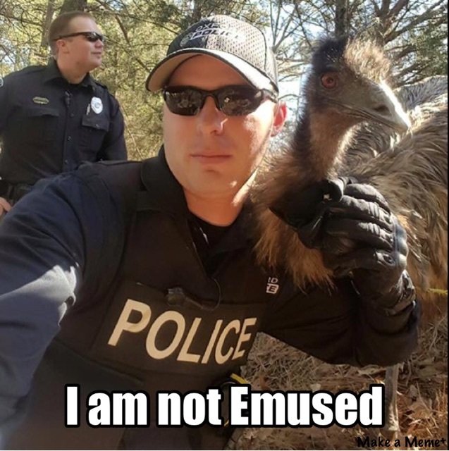 camocop's tweet photo. @OakGroveReb @OxfordPolice https://t.co/X6OXSBYYkz