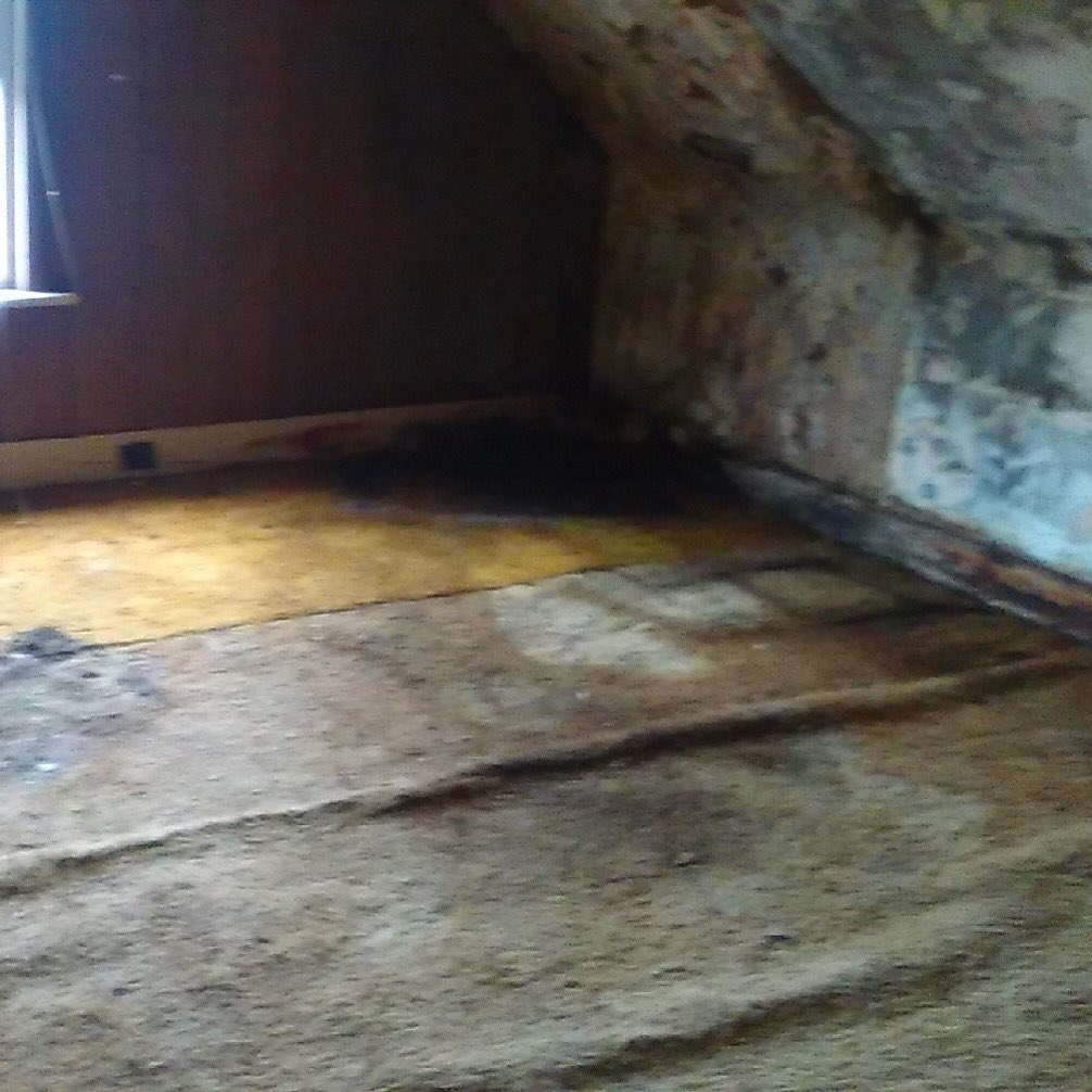 EasyTransitions's tweet photo. After...
#CleanOut #JunkRemoval #TrashOut #ForeclosedProperty https://t.co/z3IzUz27Mp