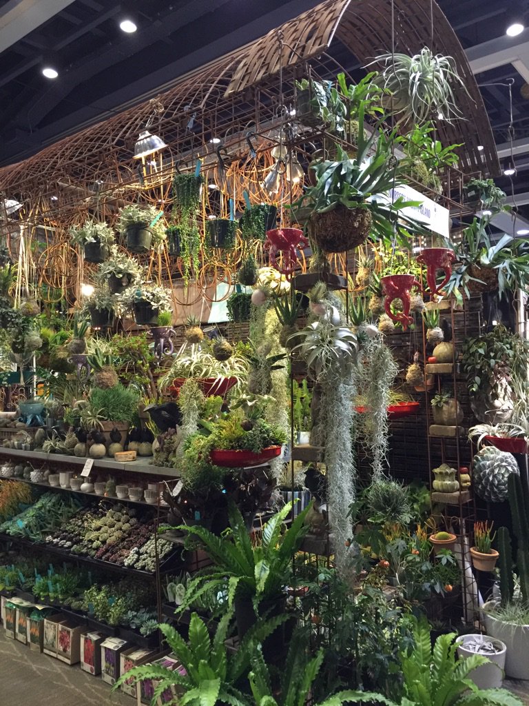 DIGNursery's tweet image. Check out our #barndominium @NWFGS ! #succulents galore #springinfeb