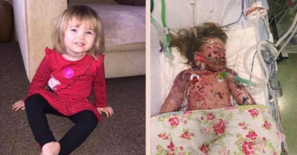 The Bump tweet media