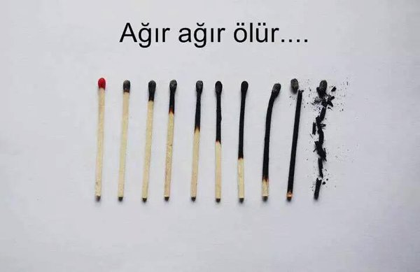 FUAT AVNİ (@avnifuat26) on Twitter photo 