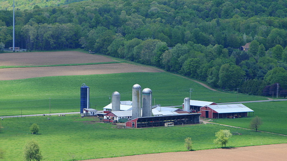 beef2live's tweet image. Land Values By State:  Farm Real Estate (2014 vs. 2015) goo.gl/IYjHaj