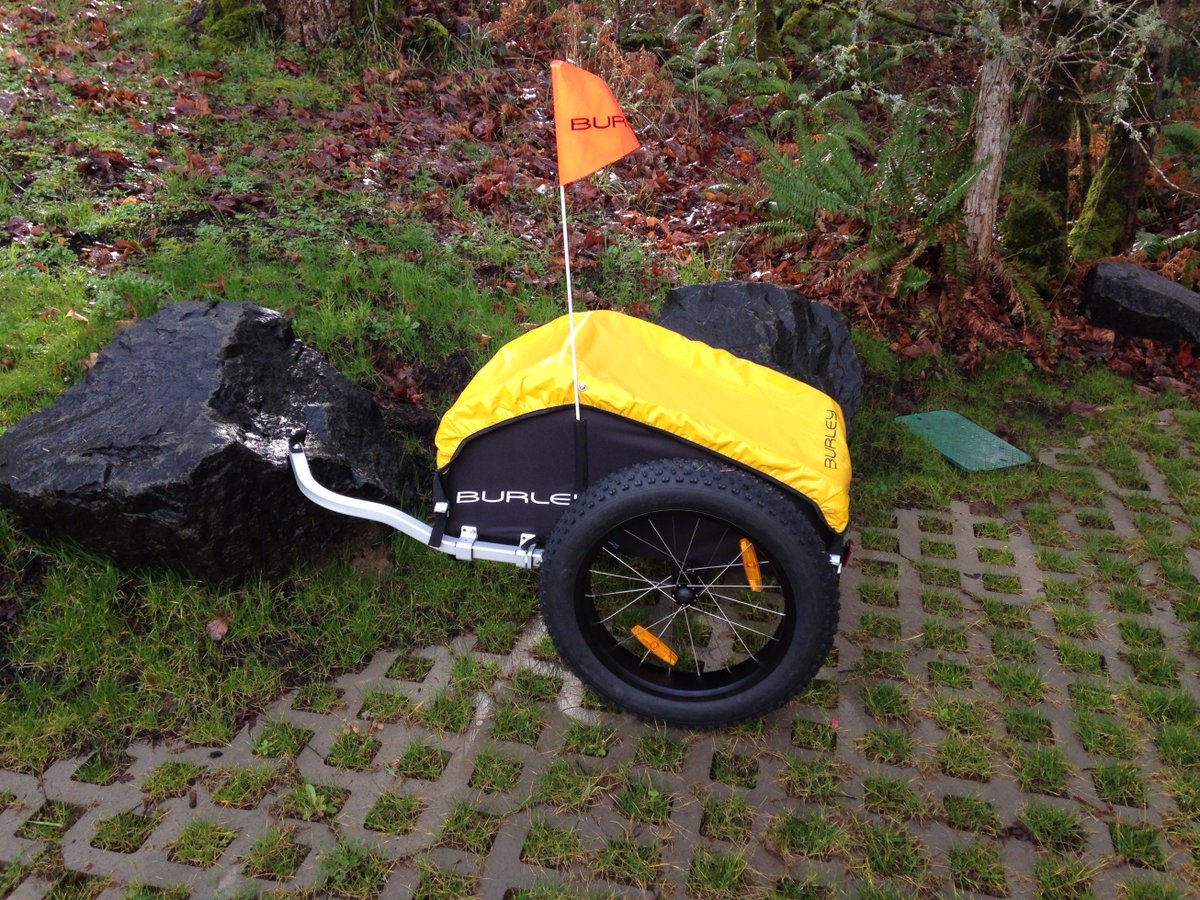 burley fat bike trailer