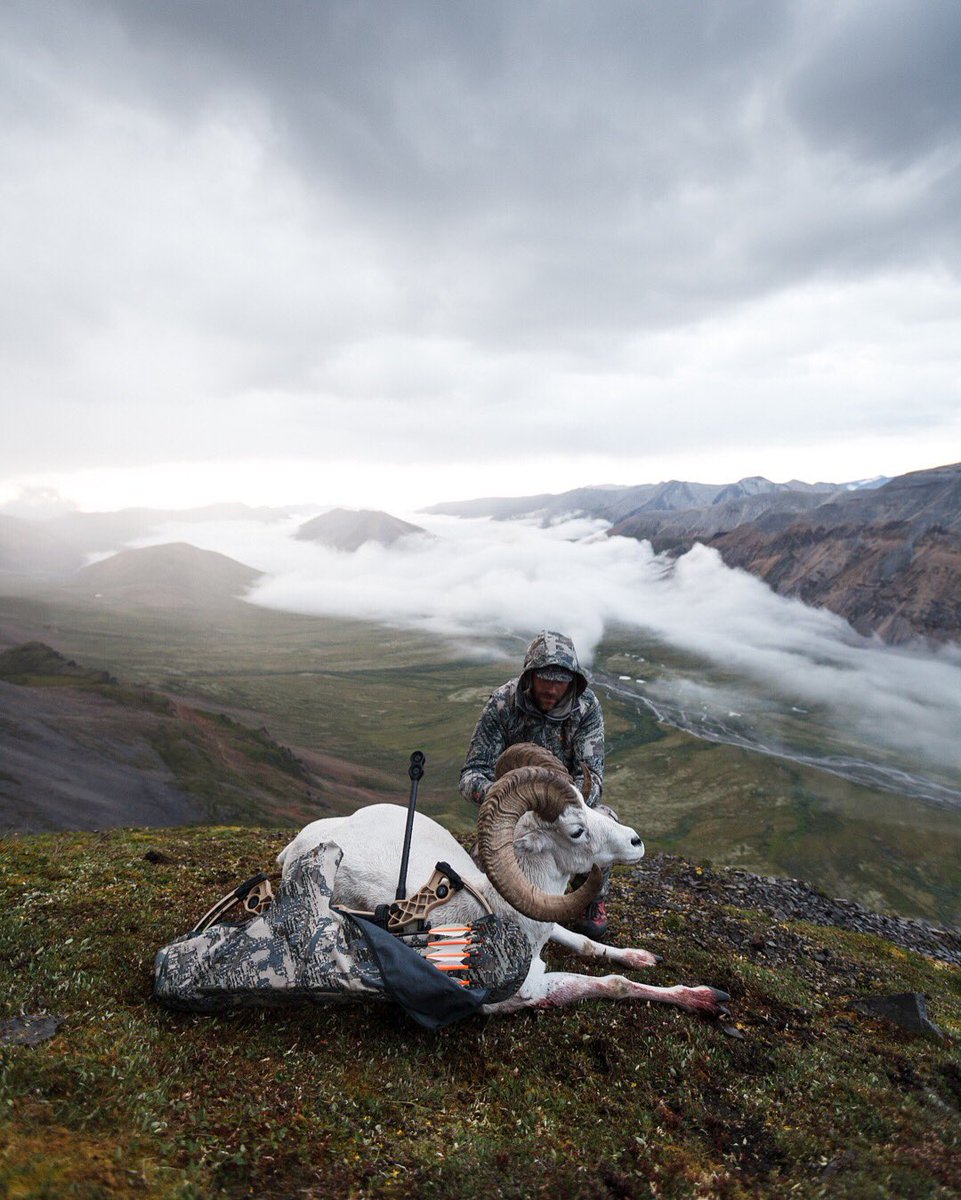 The payoff of a 36 hour stalk.

Bowhunter | Mark Seacat
Photo | Adam Foss
Location | Northwest Territories

#mathews