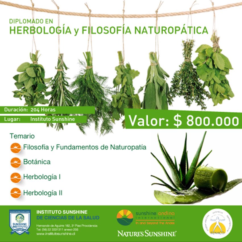 diplomados's tweet photo. https://t.co/8zovipHLMt