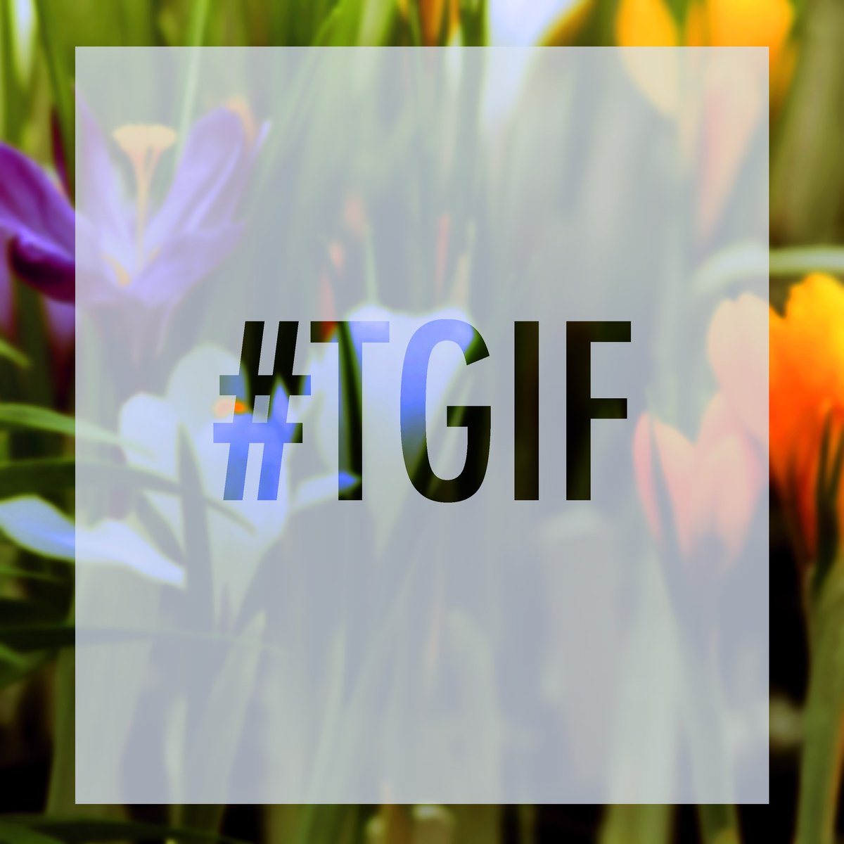 NHCampusCursive's tweet image. Campus Cursive wishes you a safe and enjoyable weekend. #TGIF