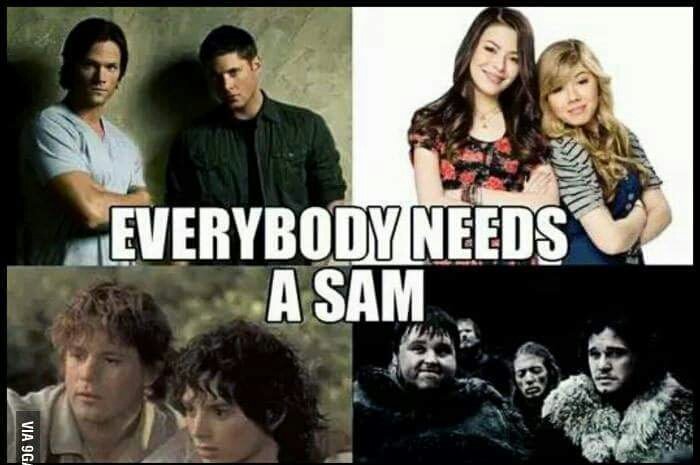 SamLW96's tweet photo. And don't forget it! #EverybodyNeedsASam https://t.co/kgfDfORaGf