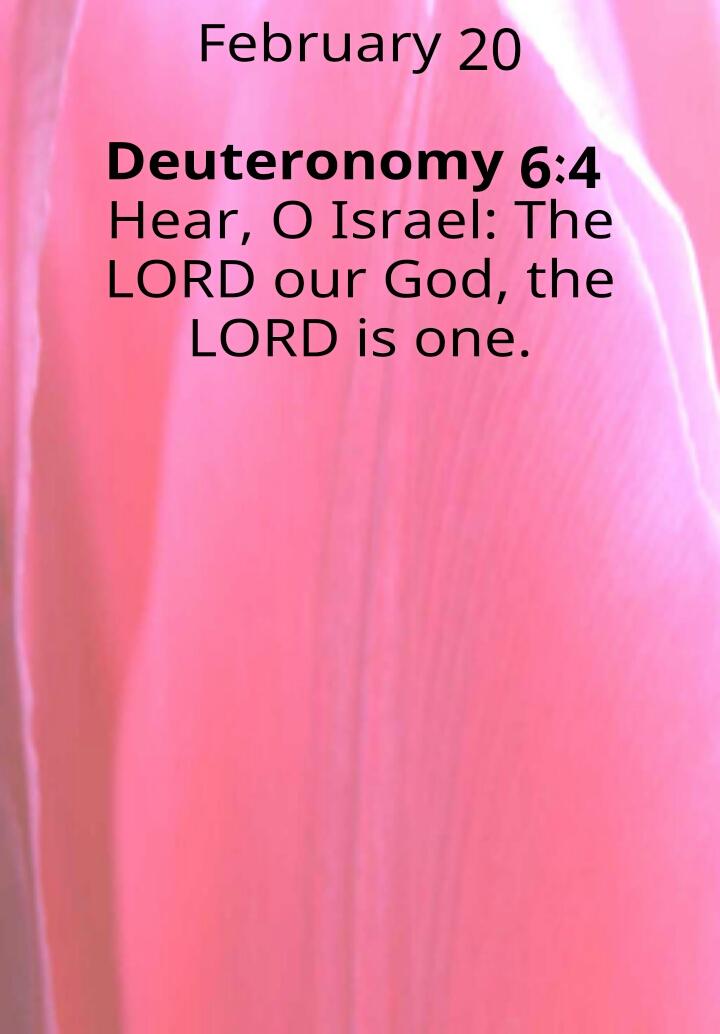 LiapengM's tweet image. #InspiringBibleVersesDaily 
Deuteronomy 6:4
Hear, O Israel: The LORD our God, the L..
play.google.com/store/apps/det…