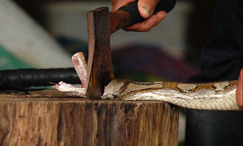 ICYMI: After hearing from PETA, #SF retailer #Gumps pulls all snake-skin from their shelves! peta.vg/gumps