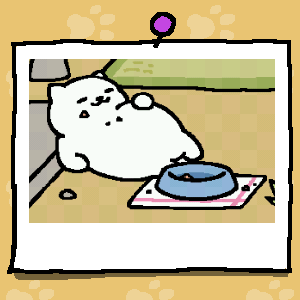 brianpaulson's tweet photo. #ねこあつめ https://t.co/cAHfAbTYM5