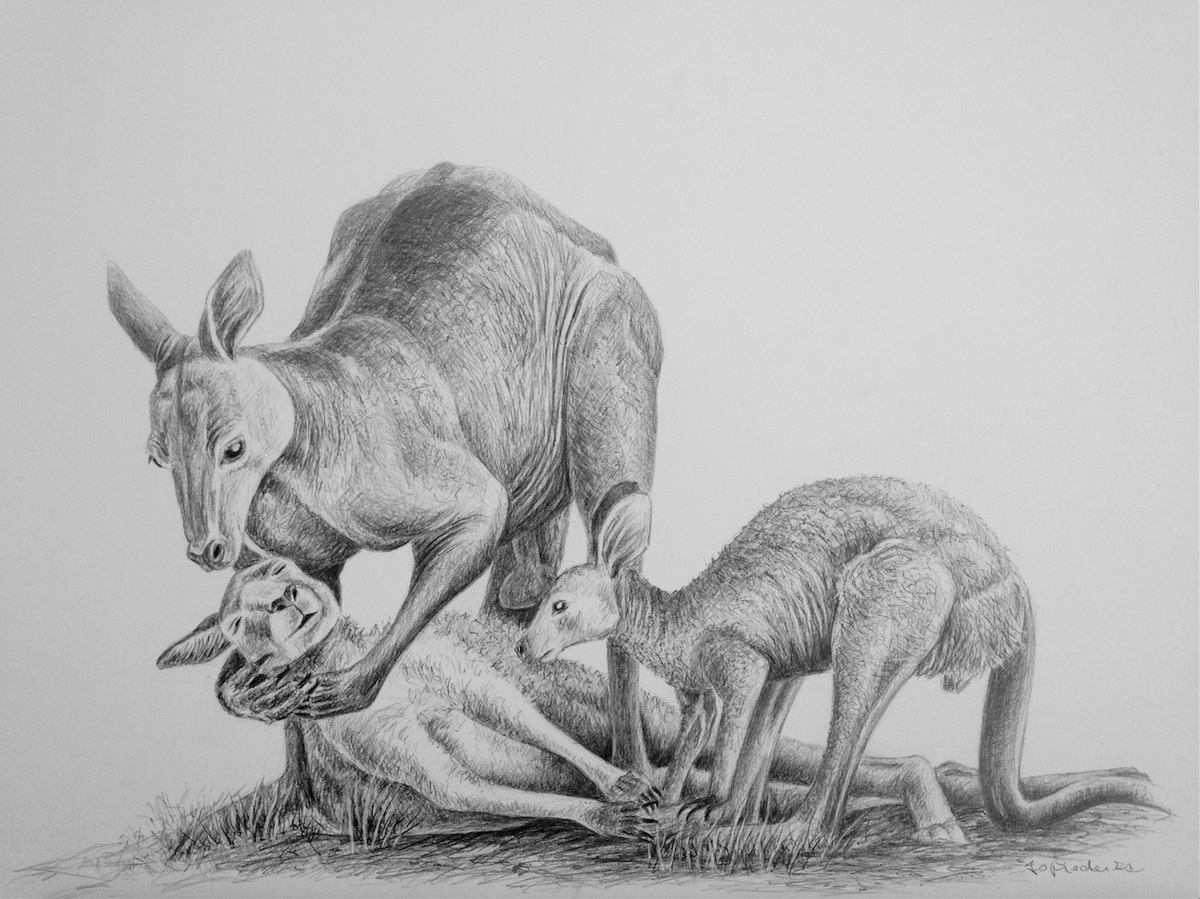 JoFrederiks's tweet photo. The Last Embrace 
90 Million slaughtered in the last 20 years #TheirLandNotAgriculture's #AnimalHolocaust #AnimalAg https://t.co/lN2tyLXX3e