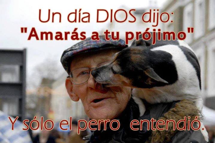 Animalesmsjs's tweet photo. — Así es. ✋🐶💔🐱  
— #NoAlMaltratoAnimal https://t.co/7g16pH0qHJ