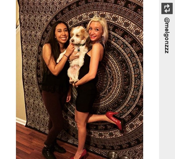 IngloriousDogs's tweet photo. Back with the bffl and finally met Leo! #unccbound #puppylove #ingloriousdogs https://t.co/GQbLvZapDc
