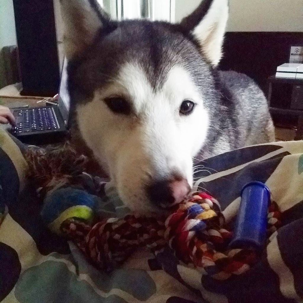 Cinemanimo1's tweet image. ift.tt/1UOIcTu Wanna play mammi? Daddy says no, so do you wanna play? 
#whatdoing #canwecomeintotheout #p…