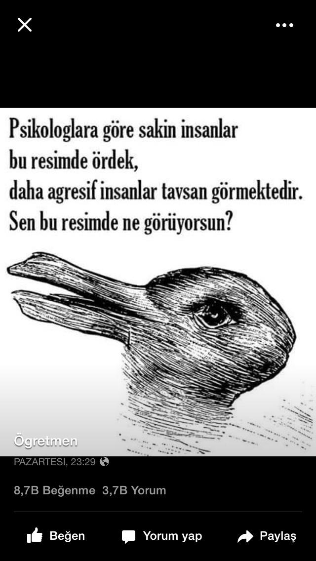 sonsuz___'s tweet photo. https://t.co/cPukmzsE9H