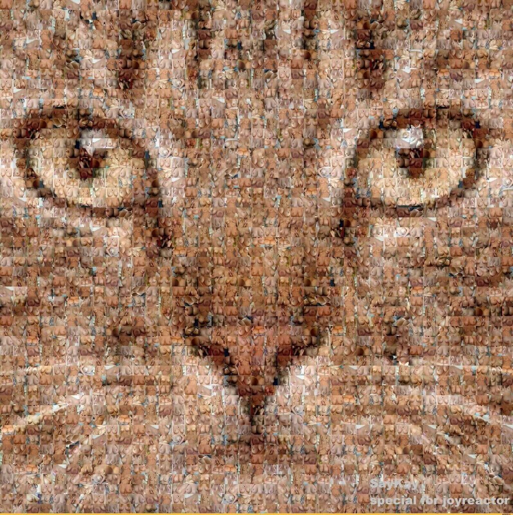 Daehvez's tweet photo. Eine Katze... aus TITTEN! #TwitterInOnePicture https://t.co/kdXN5CJ0yW