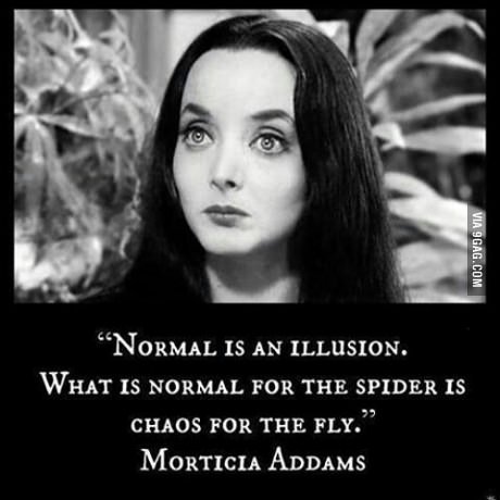FreeStreamInfo's tweet image. This is a surprisingly good quote from the Addam&apos;s Family