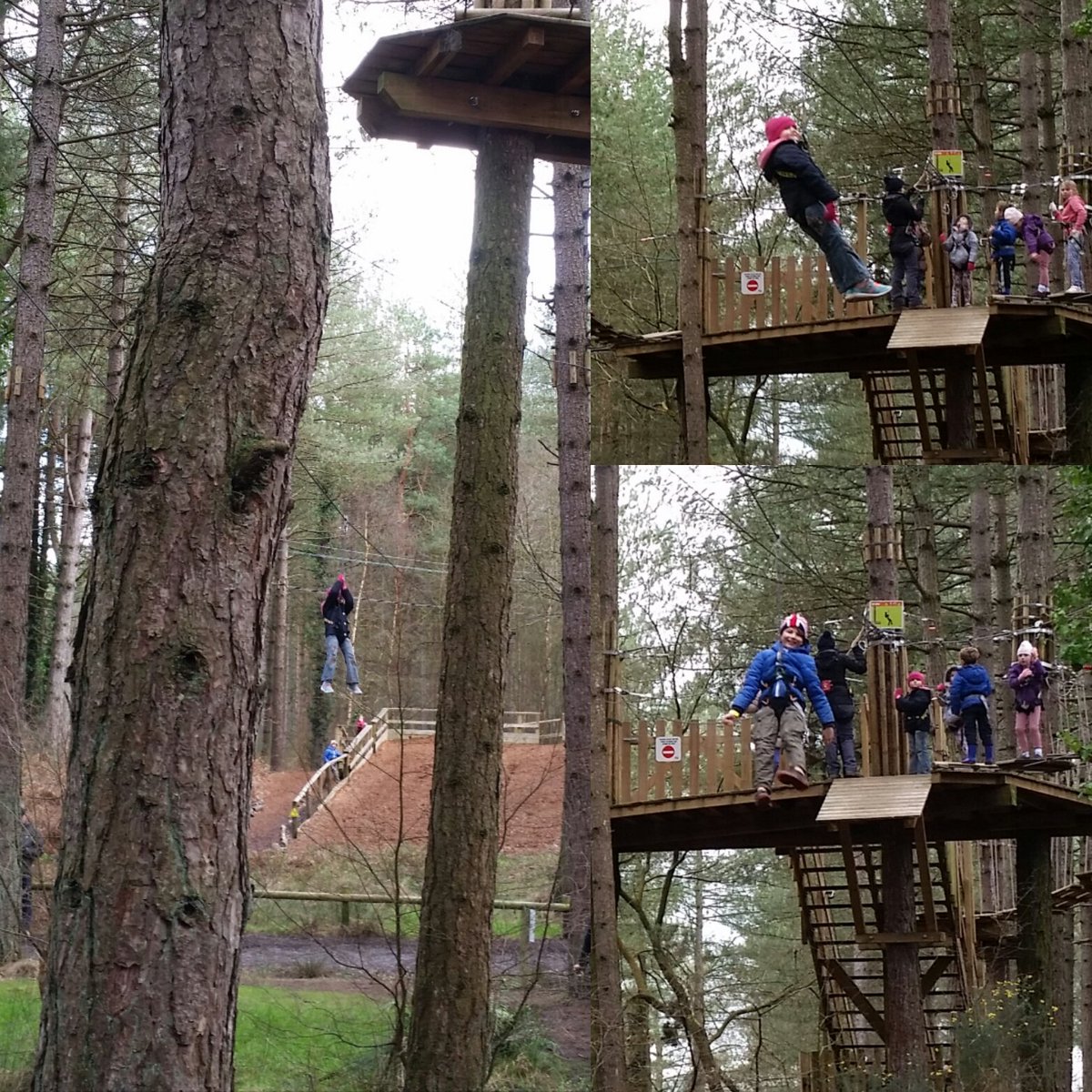 wildrevive's tweet photo. Fab day with the #miniwildrevive monkeys @moorsvalley. Absolutely loved #goape  @GoApeTribe thankyou👍👍😀 #Wildrevive https://t.co/NqK3FTAtHD