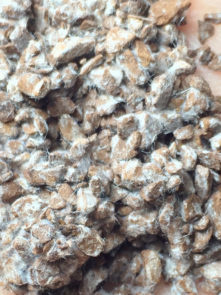 拝啓 諏訪城ツヨシ様 コーヒーに蜘蛛の巣状のカビが発生してるのを見かける 実はカビでは無く 析出したカフェインが結晶化したものだとか 今まで カビだ と思いながら飲んでいたので拍子抜けした と言うか 毎日コレのせいで腹痛になってると 拝啓 諏訪城ツヨシ様 コーヒーに蜘蛛の巣状のカビが発生してるのを見かける 実はカビでは無く 析出したカフェインが結晶化したものだとか 今まで カビだ と思いながら飲んでいたので拍子抜けした と言うか 毎日コレのせいで腹痛になってると