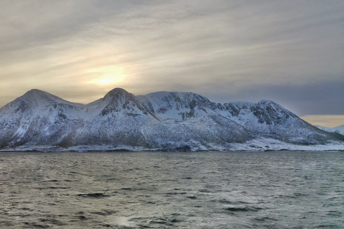 AlexTemina's tweet image. Let's start the first morning of #splashjam