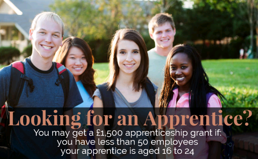 JCPNWEmployers's tweet photo. Thinking about employing an #Apprentice?  Here's our simple guide to help get you started.
 https://t.co/m6eSV0A6my https://t.co/Xk0NEDoI2d