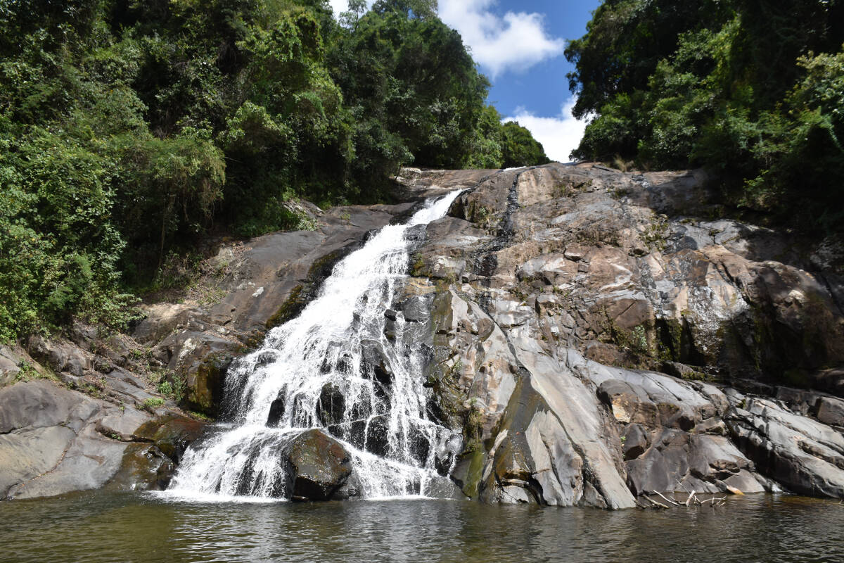 TravelBloggerZA's tweet photo. #Magoebaskloof makes for a perfect weekend #getaway from Joburg. Read about it on my blog https://t.co/PjSBAi6xdx https://t.co/W9thpKPJJN