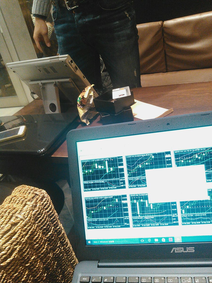 バイナリーオプション専用@100%フォロ (@ajutgsrwepfvkch) on Twitter photo 