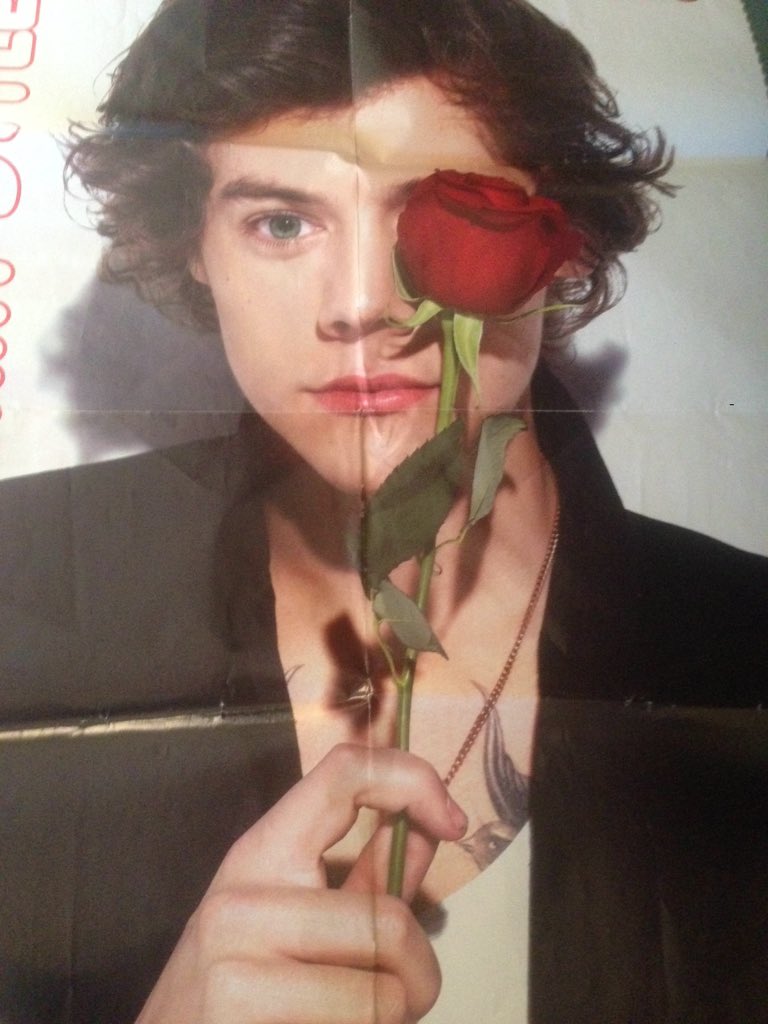 Ho ritrovato un tuo poster... Con Harry nell'altra parte della pagina😂 <a href="/michele_bravi/">Michele Bravi</a>