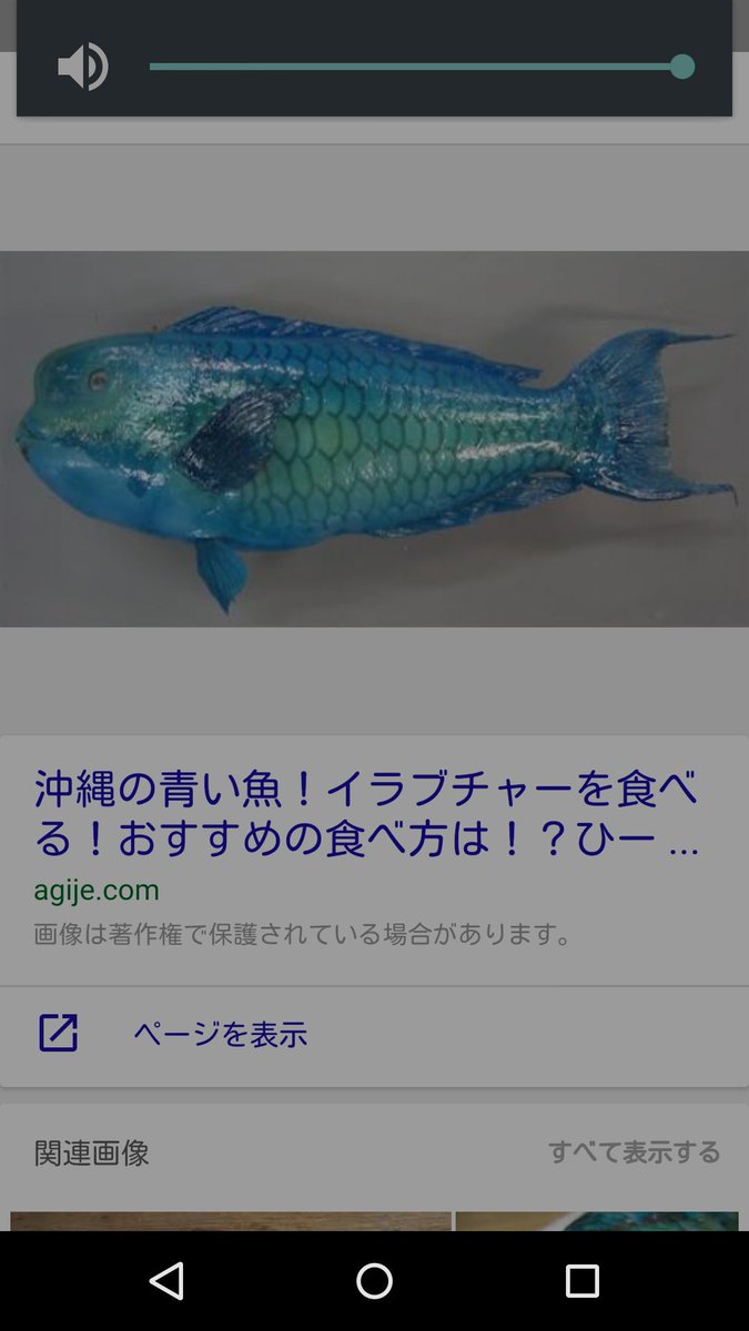 Hashtag 青い魚 Na Twitteru