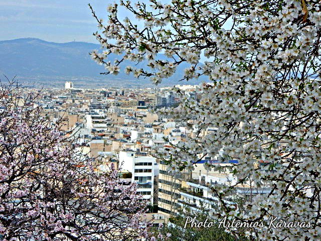 artemiosk's tweet photo. Athens
@AthensMayor @AthensVoice @local_athens #Athens #photography #athensphoto #PhotoOfTheWeek https://t.co/xXVyZX5uqN