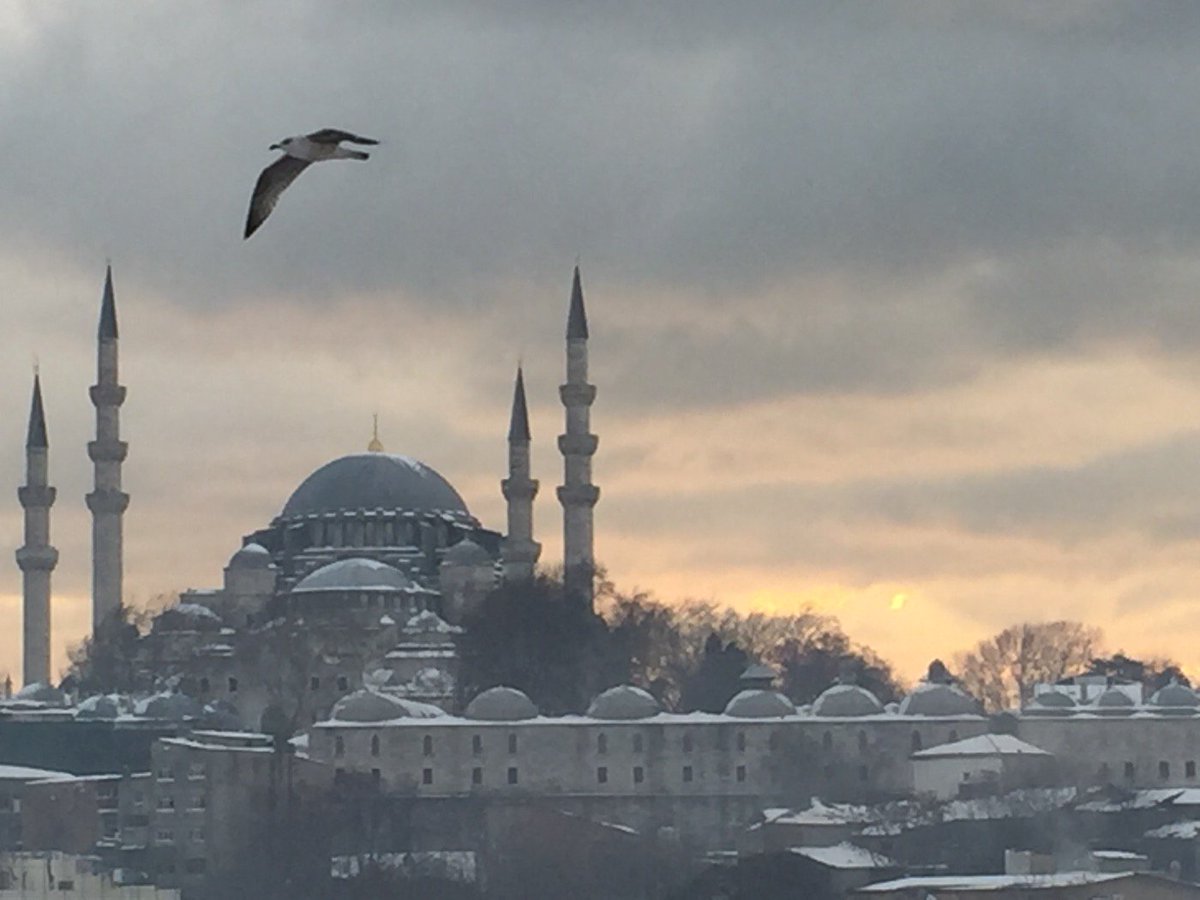 Kadim Şehrimizin Emanetleri Koca Sinan'ın Süleymaniyesi ve çığlıklarıyla martılar #FatihteKis <a href="/FatihBelediye/">Fatih Belediyesi</a>