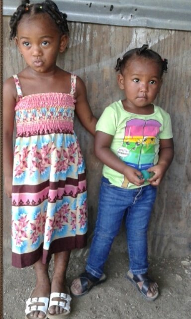 Mis dos amores