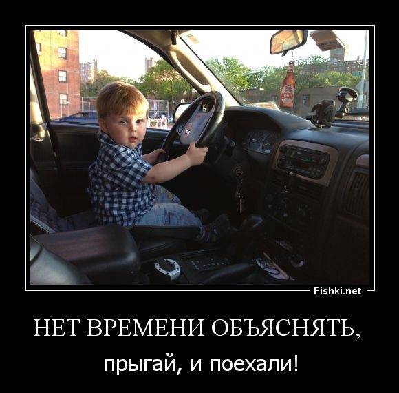 нет времени объяснять кот. садись двойка. гарри приколы. нет времени прикол. нет время объяснять 2.