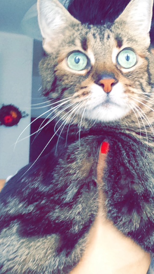 deerprcngs's tweet photo. #RIPPacha https://t.co/tYHnux1klO