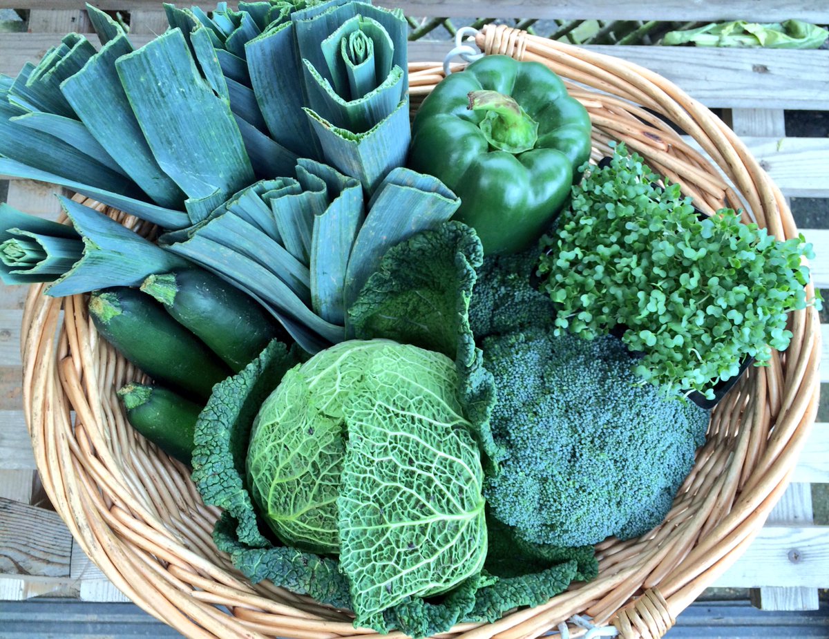 Green aesthetic #green #aesthetic  #fresh #local #fruit #vegetables #produce