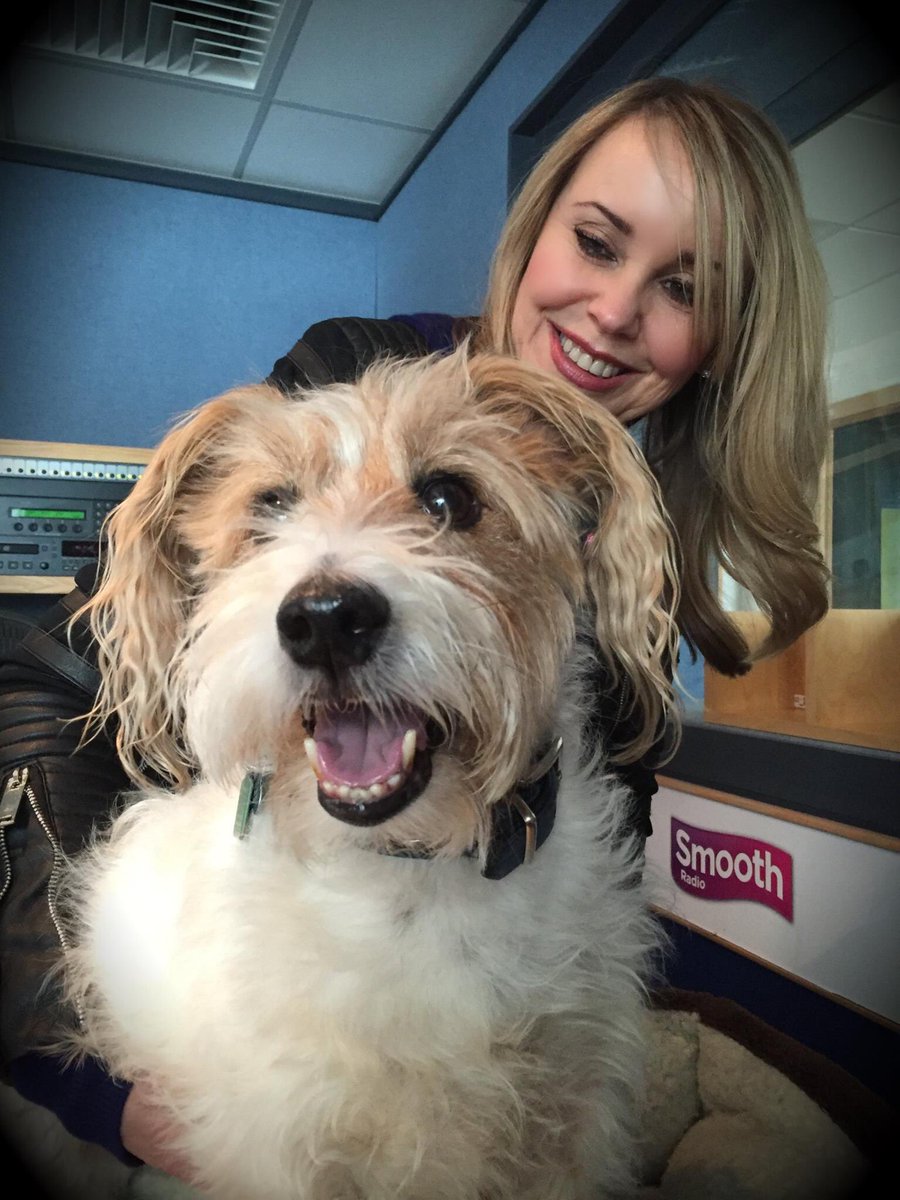 jo_lloyd's tweet photo. #LoveYourPetDay love this little fella so much I took him to work with me on Thursday 🐶💕📻 #RadioDog #BasilDog https://t.co/XBbjdZBbuy