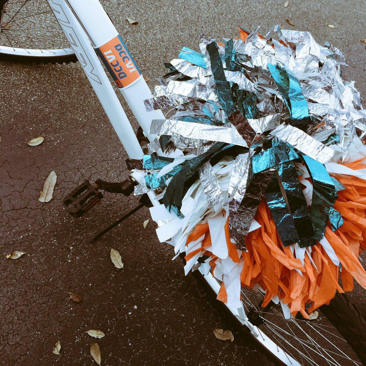 MDC_Macy's tweet photo. @MDCheer Can I bring my poms on the ride? Just kidding... #TeamDolphinsCheer #RideDCC https://t.co/f8RZZWdBdg