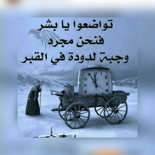 ارتقوووو يا بشر,,,