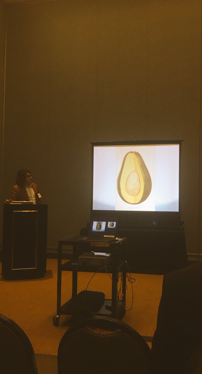 JulianChambliss's tweet photo. Perhaps the first commercial image of an avocado from a 1907 seed catalog. Great stuff at #FCH16 panels. https://t.co/KvlWYCAFxo