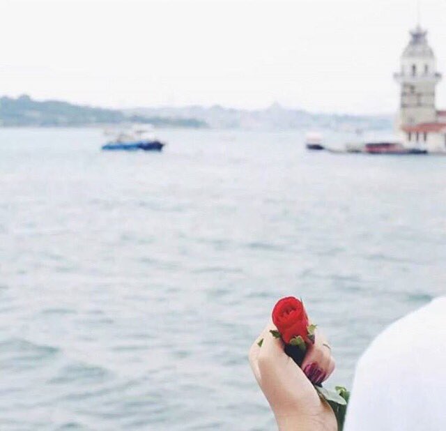 أبيك لي روح وتفاصيل وأحساس
:
وأبيك عمر أعيش به طول عمري
:
بقلمي🌹
