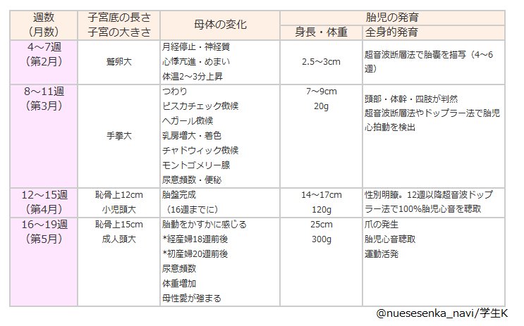 胎動 いつから