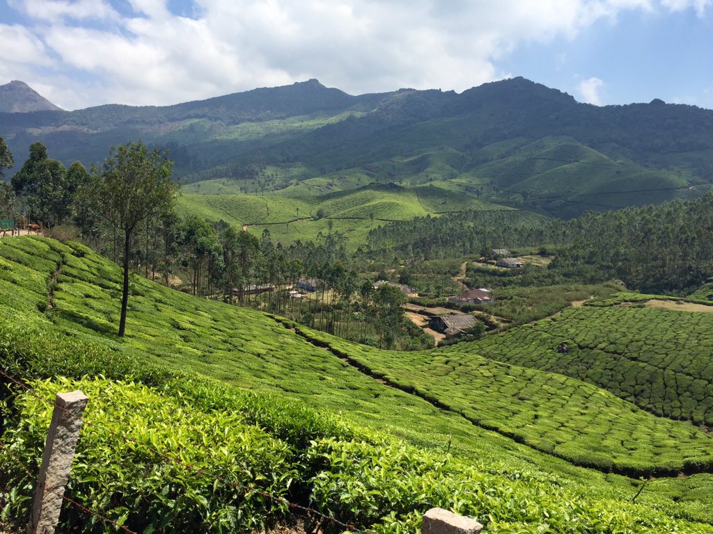 jayantianil's tweet image. #munnar #devikulam #Kerala Gods own country