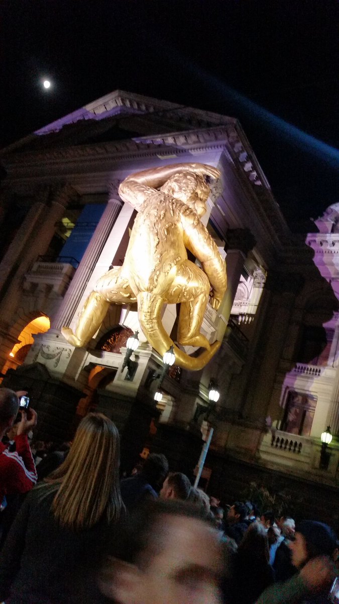 jscarey333's tweet photo. #whitenightmelb #goldmonkey https://t.co/y79x8jJ5L9